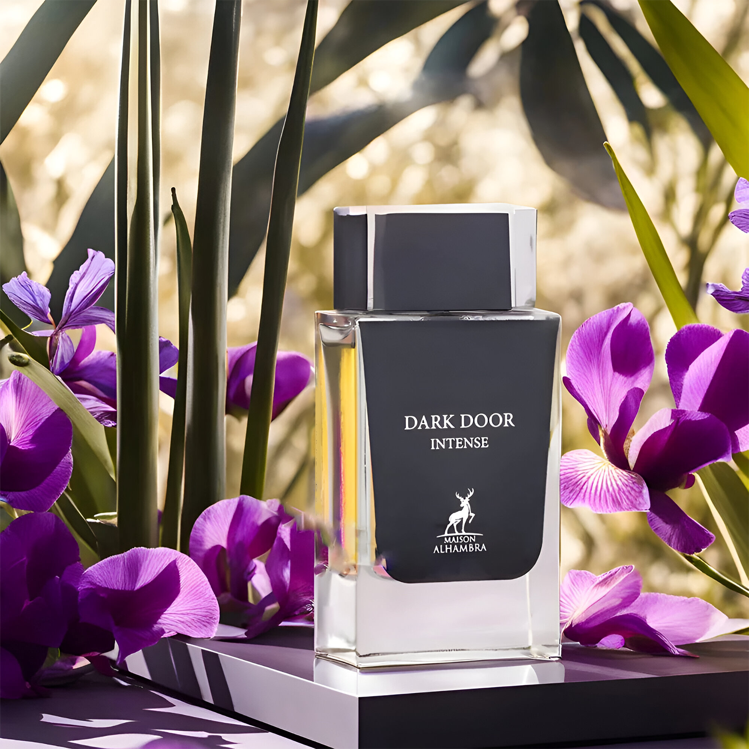 Maison Alhambra Dark Door Intense EDP