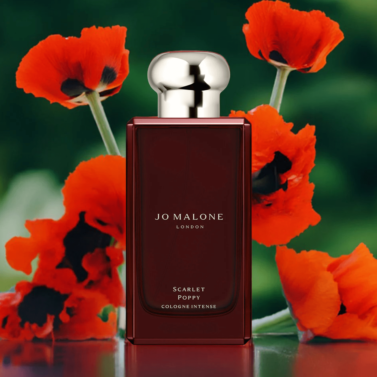 Jo Malone Scarlet Poppy Cologne Intense | My Perfume Shop