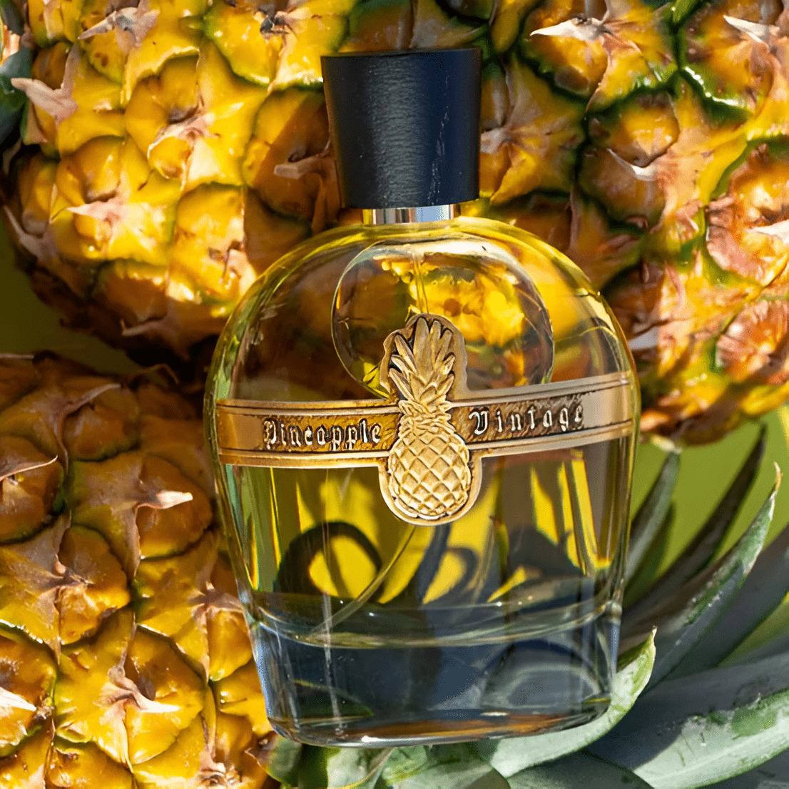 Pineapple Parfums Vintage Emperor EDP | My Perfume Shop