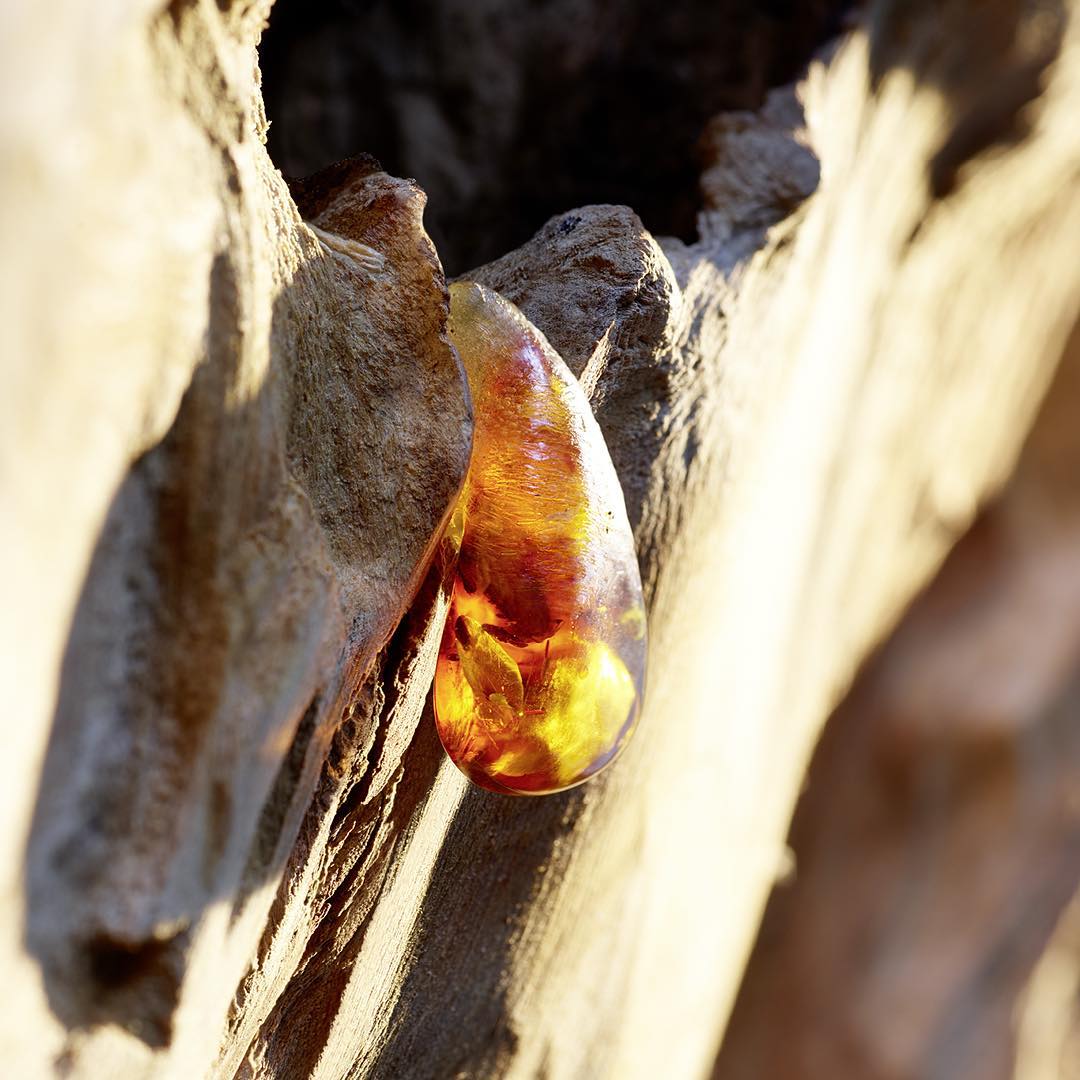 Dior Sauvage EDT | My Perfume Shop