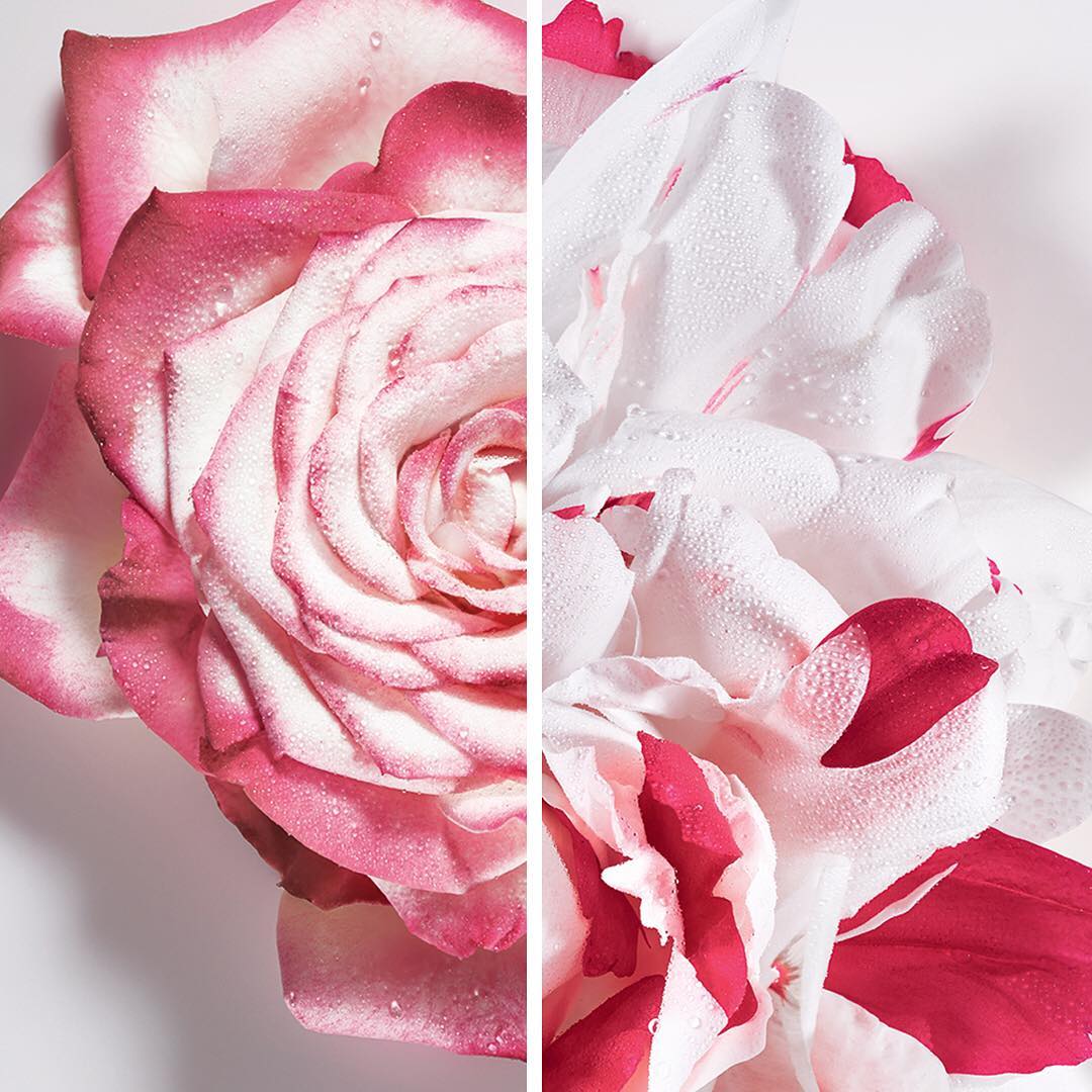 Dior Miss Dior Absolutely Blooming EDP | My Perfume Shop