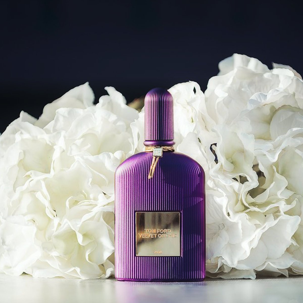TOM FORD Velvet Orchid EDP | My Perfume Shop
