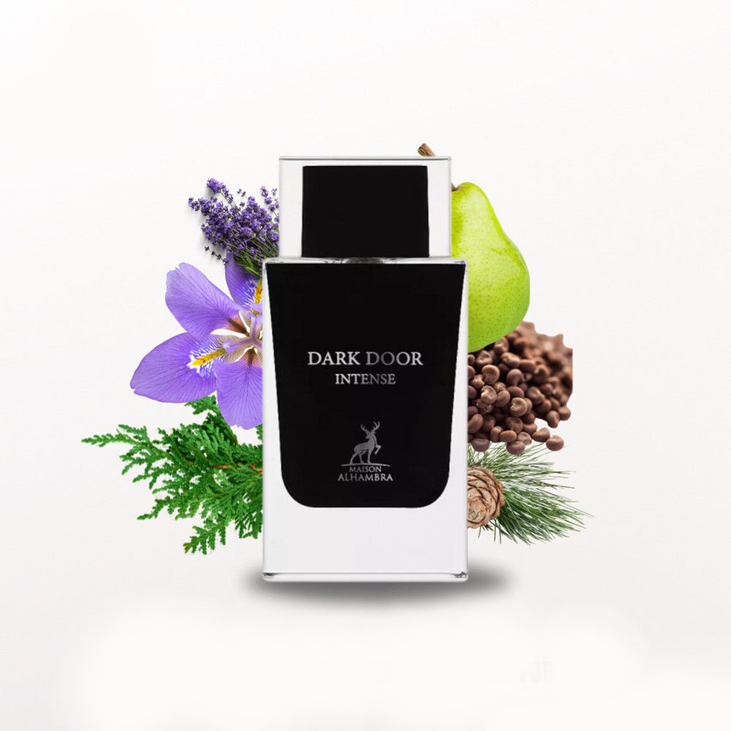 Maison Alhambra Dark Door Intense EDP