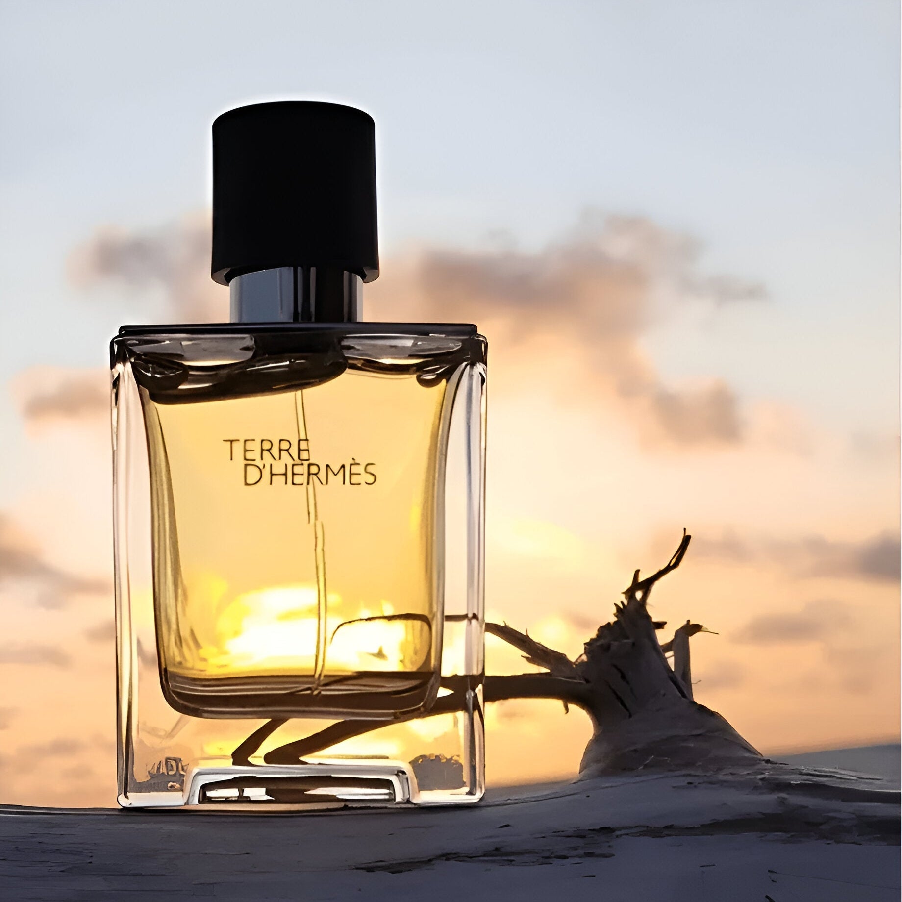 Hermes Terre D'Hermes EDT Hair & Body Shower Gel Set for Men | My Perfume Shop